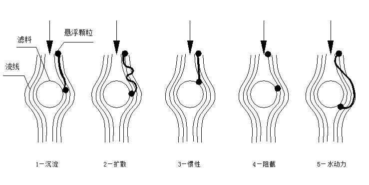 顆粒濾料的遷移機(jī)理